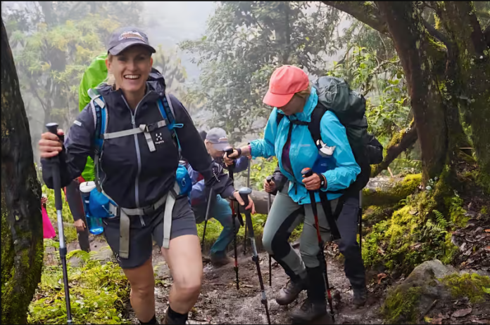 4DAYS HIKING MARANGU ROUTE & 2 DAYS OFF-ROAD SAFARI EXPERIENCE